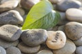 Pebbles printed with words Royalty Free Stock Photo