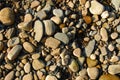 Pebbles on a river bed. Royalty Free Stock Photo