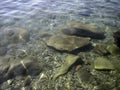 Pebbles, rocks, seaweed on the sea floor through clear water in shallow water