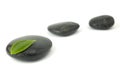 Pebbles row and green leaf Royalty Free Stock Photo