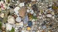 Pebbles, sand and grass