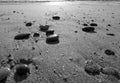 Pebbles on sandy beach. Low angle, high contract black and white.