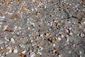 Pebbles on sandy beach Royalty Free Stock Photo