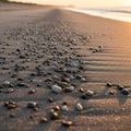Pebbles scattered across a sandy beach Royalty Free Stock Photo