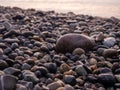 Pebbles on the seashore close-up. Rocky beach. Stones close-up with bokeh. Gray natural background. Autumn on the seashore