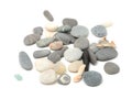Pebbles And Shells Royalty Free Stock Photo
