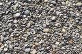 Pebbles of a shingle beach or a river Royalty Free Stock Photo