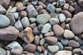 Pebbles on a shingle beach Royalty Free Stock Photo