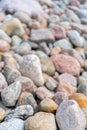 Pebbles on the shore. Round stones on the coast