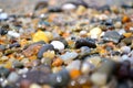 Pebbles On The Shore