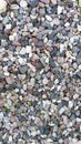 Pebbles small. Background from multicolored river pebbles. Stones of different colors lie in a pile. Gravel texture. View from Royalty Free Stock Photo