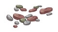 Pebbles, small beach stones. Smooth cobbles group. Different cobblestones composition. Marine rock fragments. Weathered