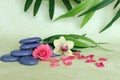 pebbles stacked in zen life fashion with a pink flower and an orchid on green and foliage background