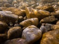 Pebbles stone underwater below water surface near lake shore, natural scene Royalty Free Stock Photo