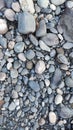 Pebbles and stones after a decline in river level