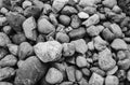 Pebbles and stones on the river bed, shot with analogue black and white film Royalty Free Stock Photo