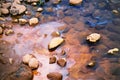 Pebbles In A Stream