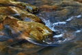 Pebbles in a stream