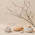 Pebbles and twigs on beige background. Spa concept.