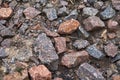 Pebbles washed with water after rain