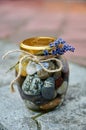 Pebbles and water in a jar with a flower branch on stone blurred background Royalty Free Stock Photo