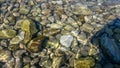 Pebbles in water.