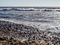 Pebbly Beach At Charmouth, Dorset Royalty Free Stock Photo