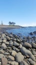 Pebbly Beach at Forster New South Wales Royalty Free Stock Photo