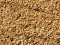 Pebbly sand texture background