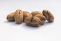 Pecan Carya illinoinensis, edible nut Royalty Free Stock Photo