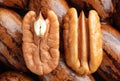 Pecan halves on background