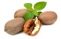 Ripe shelled pecan nuts. Royalty Free Stock Photo