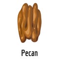 Pecan icon, cartoon style