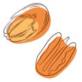 Pecan icon in line art style. Logo flat nut for recipe book, booklet, card, menu or banner design. Vector illustration Royalty Free Stock Photo