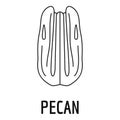 Pecan icon, outline style