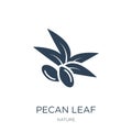 pecan leaf icon in trendy design style. pecan leaf icon isolated on white background. pecan leaf vector icon simple and modern Royalty Free Stock Photo