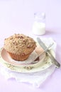 Pecan Muffin with Streusel Topping Royalty Free Stock Photo