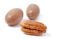 Pecan nut Royalty Free Stock Photo