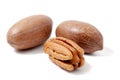 Pecan nut Royalty Free Stock Photo