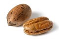 Pecan Nut Royalty Free Stock Photo