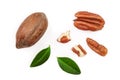 Pecan nut decorated with green leaves isolated on white background. Top view. Flat lay Royalty Free Stock Photo