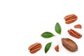 Pecan nut decorated with green leaves isolated on white background. Top view. Flat lay