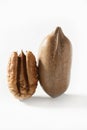 Pecan nut fruit and shell over white Royalty Free Stock Photo