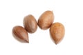 Pecan nut isolated on white background Royalty Free Stock Photo