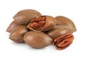 pecan nut isolated on white background with full depth of field Royalty Free Stock Photo