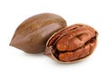 pecan nut isolated on white background with full depth of field Royalty Free Stock Photo