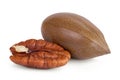 pecan nut isolated on white background with full depth of field Royalty Free Stock Photo