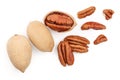 Pecan nut isolated on white background. Top view. Flat lay Royalty Free Stock Photo