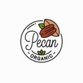 Pecan nut logo. Round linear of pecan on white Royalty Free Stock Photo