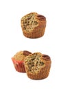 Pecan nut muffin isolated Royalty Free Stock Photo